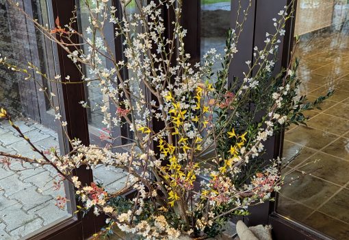 PXL_20250313_113321187