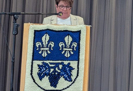 PXL_20250313_140310384